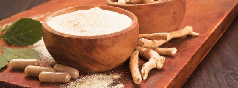 Ashwagandha – jaké má účinky a jak vybrat tu správnou?