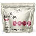 WoldoHealth WoldoSport