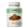 Chaga