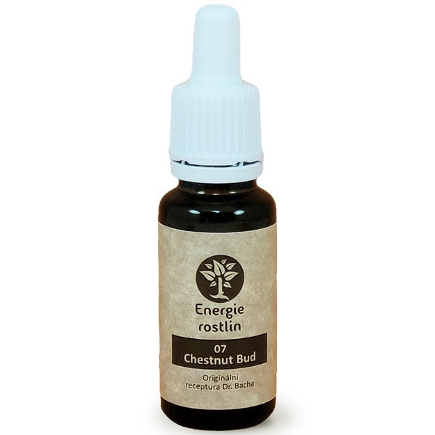 Energie rostlin Bachovy esence 7 - Chestnut Bud Esence vhledu 20 ml