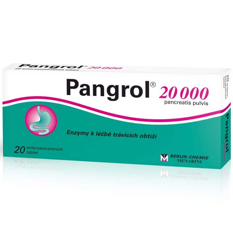 Pangrol 20 000 20 tablet