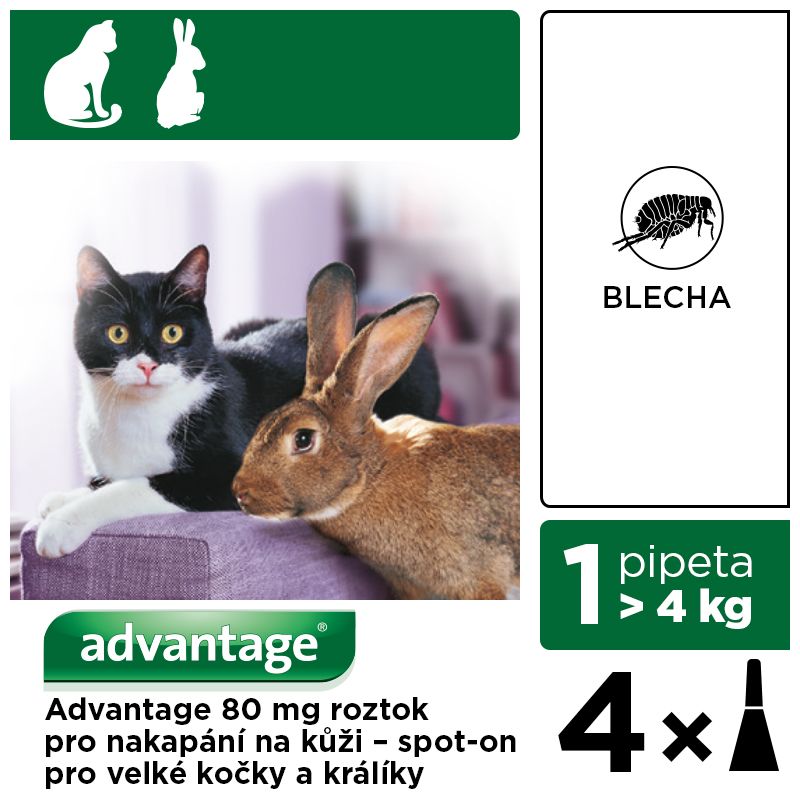 Advantage Proti blechám pro velké kočky a králíky spot-on 4x0.8ml