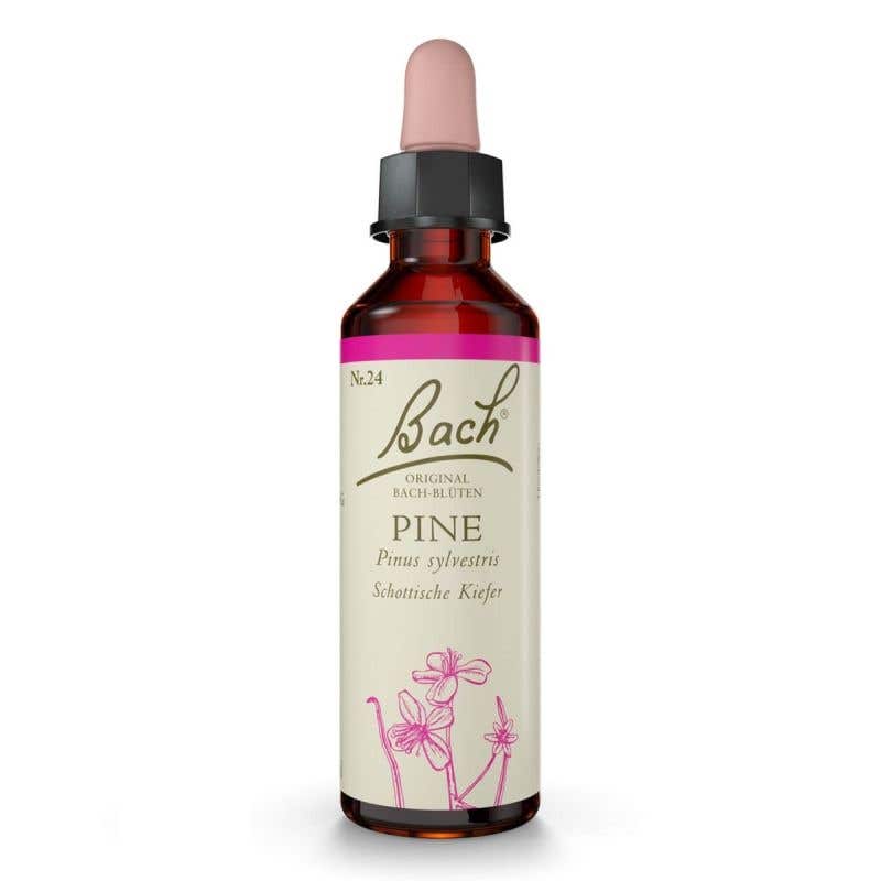 Nelsons Bachovy esence Pine 20 ml
