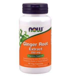 Now Ginger Root Extract - Kořen zázvoru 250 mg 90 rostlinných kapslí