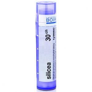 Boiron Silicea CH30 4 g