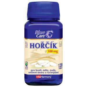 VitaHarmony Hořčík 300 mg 120 tablet