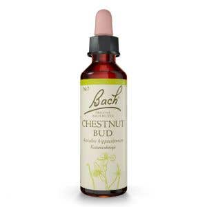 Nelsons Bachove esencie Chestnut Bud 20 ml
