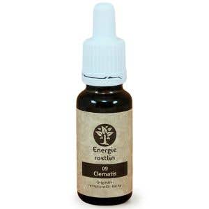 Energie rostlin Bachové esencie 9 - Clematis Esencia pritomnosti 20 ml
