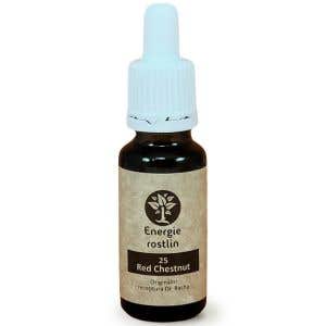 Energie rostlin Bachové esencie 25 - Red Chestnut Esencia dôvery 20 ml