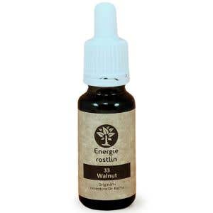 Energie rostlin Bachové esencie 33 – Walnut Esencia realizácie 20 ml