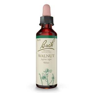 Nelsons Bachove esencie Walnut 20 ml