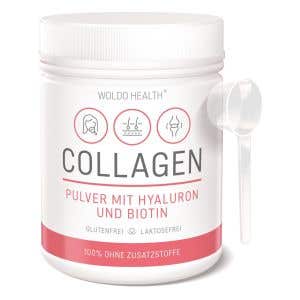 WoldoHealth Kolagen s kyselinou hyaluronovou a biotinem 500 g