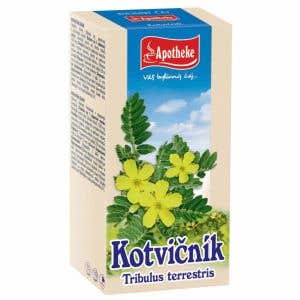 Apotheke Čaj Kotvičn&iacute;k zemn&iacute; 20 n&aacute;levov&yacute;ch s&aacute;čků