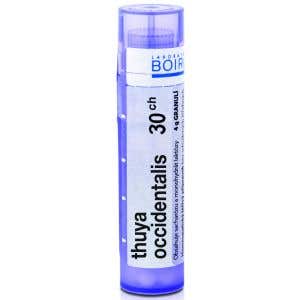 Boiron Thuya occidentalis CH30 4 g
