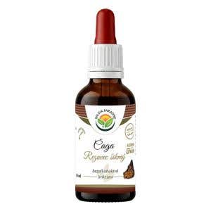 Salvia Paradise Čaga - rezavec &scaron;ikm&yacute; AF tinktura 50 ml