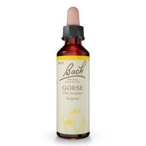 Nelsons Bachovy esence Gorse 20 ml