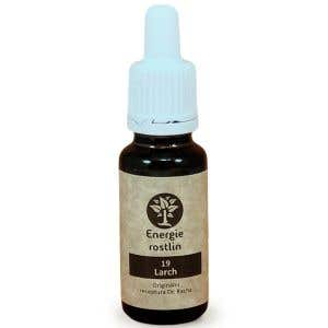 Energie rostlin Bachovy esence 19 - Larch Esence sebedůvěry 20 ml