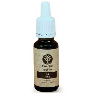 Energie rostlin Bachovy esence 24 - Pine Esence odpuštění 20 ml 