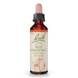 Nelsons Bachovy esence Red Chestnut 20 ml