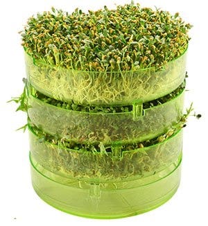 Zdravý den Misky na klíčení 3 kusy