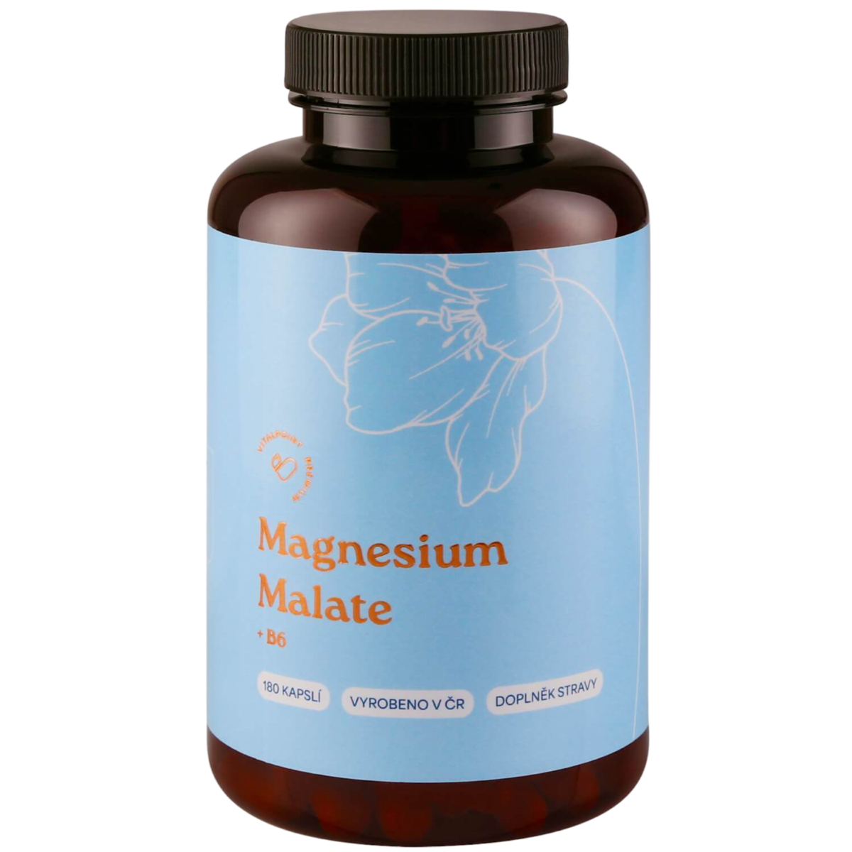 Vitalpoint Premium Magnesium Malate + B6 180 kapslí