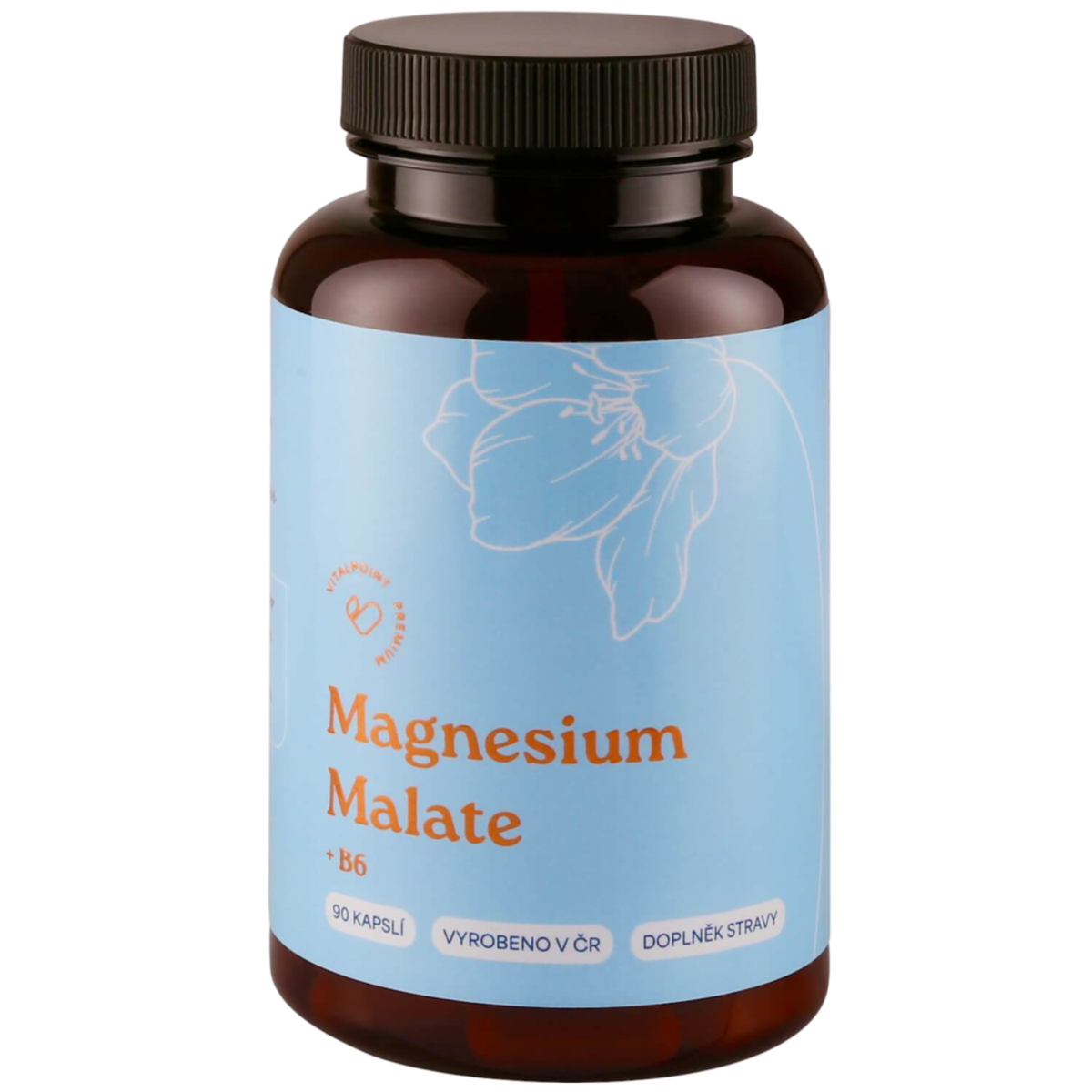 Vitalpoint Premium Magnesium Malate + B6 90 kapslí