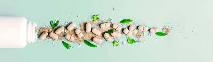 Léky vs. doplňky stravy – jaký je mezi nimi rozdíl?